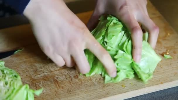 Hands Cutting Cabbage Wooden Board — Stock Video