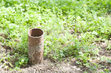 Eski paslı demir boru ve yeşil çimenler.