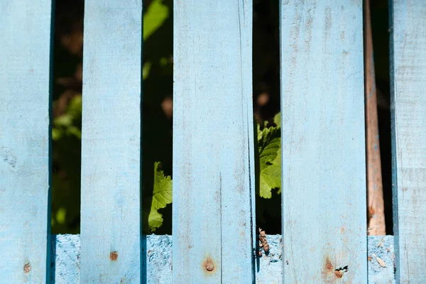 Penutup Latar Belakang Bangku Kayu Biru — Stok Foto