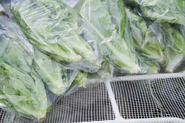 Nahaufnahme Von Verpacktem Grünen Frischen Salat Mit Selektivem Fokus Und — Stockfoto