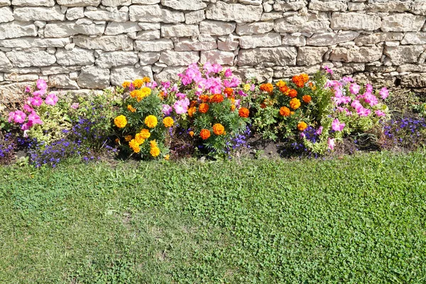 Garden Flowers Bed Next Limestone Rocks Green Grass — Stock Photo, Image