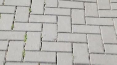 Kiremitli gri kaldırımlar boyunca yürüyorum