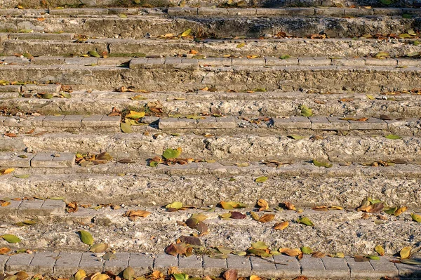 Ancien Escalier Endommagé Avec Feuilles Automne Mise Point Sélective Sur — Photo