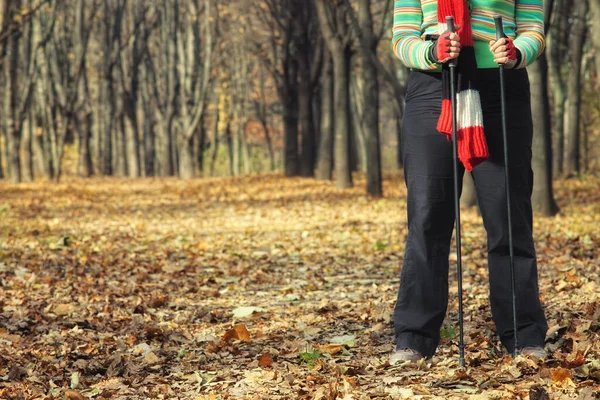 Parte Mulher Com Paus Caminhada Nórdica Floresta Outono Com Foco — Fotografia de Stock