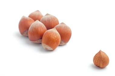 Odak dışı fındık grubu beyaz üzerine izole edilmiş ve çekirdek üzerine seçici odaklı