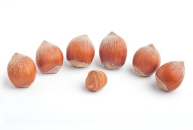 Ortadaki çekirdeği çevreleyen yarı çember fındık beyazı üzerine izole edilmiş. 