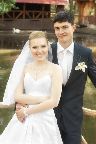 Braut Und Bräutigam Freien Gegen Verschwommenen Teich Mit Weißem Schwan — Stockfoto