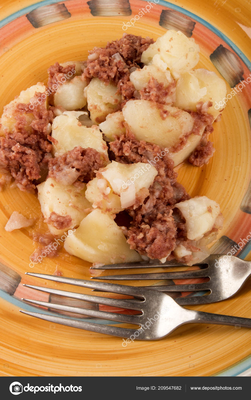 Homemade Organic Corned Beef Hash Plate Stock Photo by ©Szakaly 209547682