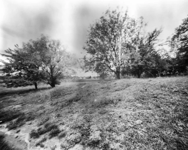 Champ avec des arbres au printemps, photo trou d'épingle noir et blanc — Photo