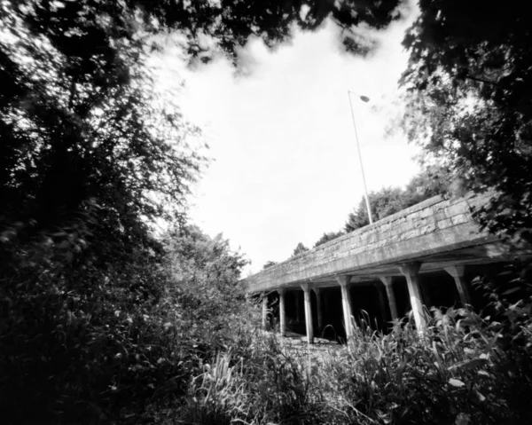 春の橋や木、黒と白のピンホール写真 ロイヤリティフリーのストック写真