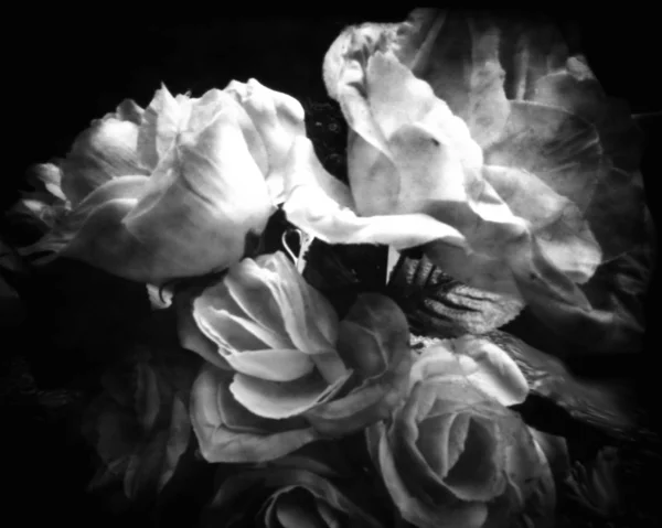 Ramo de rosas, estilo antiguo blanco y negro — Foto de Stock