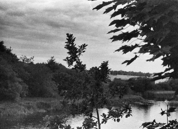 Rivière Nombreux Arbres Sur Les Côtés Cette Photo Noir Blanc — Photo