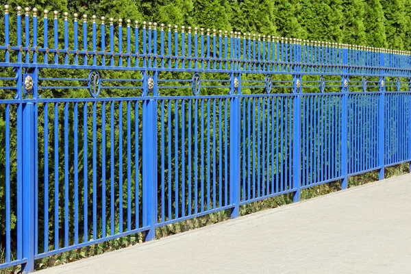 Decoratieve Blauwe Hek Eind Van Zomer Metaal Smeedijzer — Stockfoto