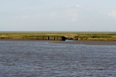 kuzeydeniz kıyısı