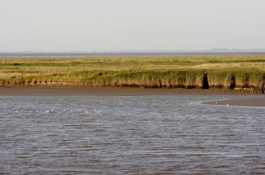 kuzeydeniz kıyısı