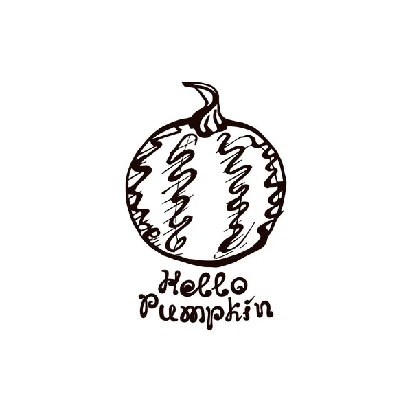 Autumn hand drawn pumpkin with lettering isolated on white — Stock Vector