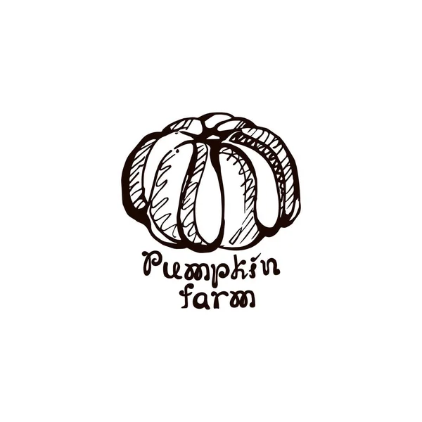 Autumn hand drawn pumpkin with lettering isolated on white — Stock Vector