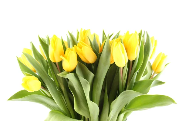 Boeket van gele tulpen — Stockfoto