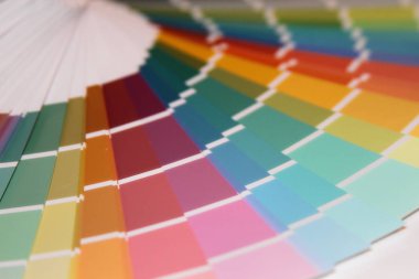 Pantone renk boya için