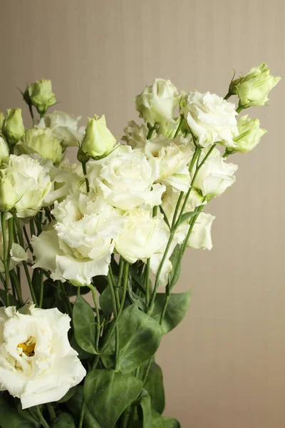 Rosas brancas no interior — Fotografia de Stock