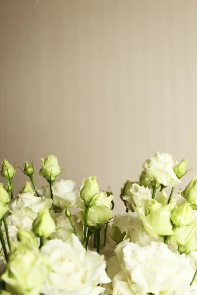 Bílé růže v interiéru — Stock fotografie