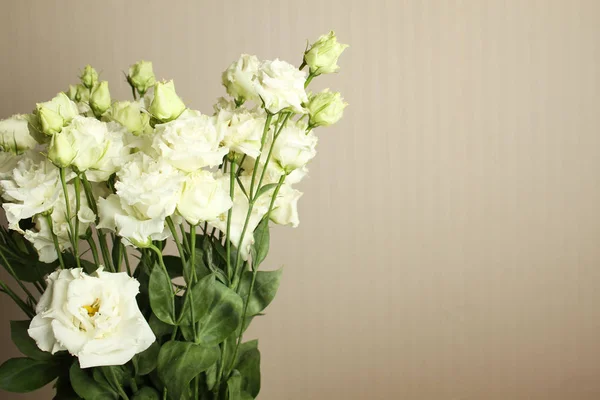 Λευκά Τριαντάφυλλα Ένα Μπεζ Φόντο Τοίχο Στο Εσωτερικό Μπορείτε Προσθέσετε — Φωτογραφία Αρχείου