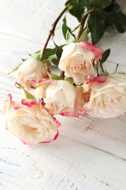 Tahta arka planda beyaz güller