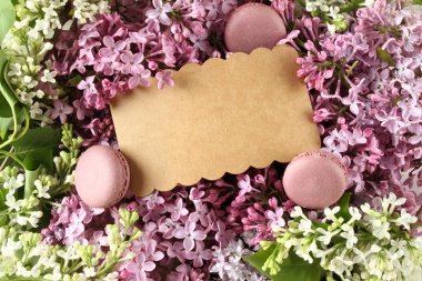 Mor Macaroon ve Leylak