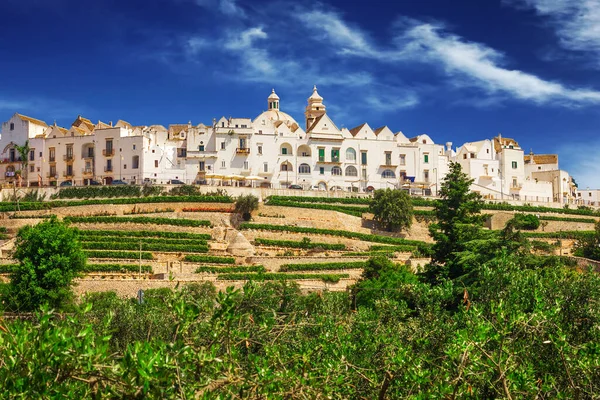 Uma Vista Panorâmica Locorotondo Puglia Itália — Fotografia de Stock