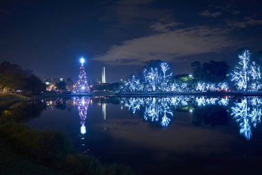 Noel ağacı ve ışıklı ağaçlarda Ibirapuera Park Aralık ayında gece şehirde Sao Paulo, Brezilya.