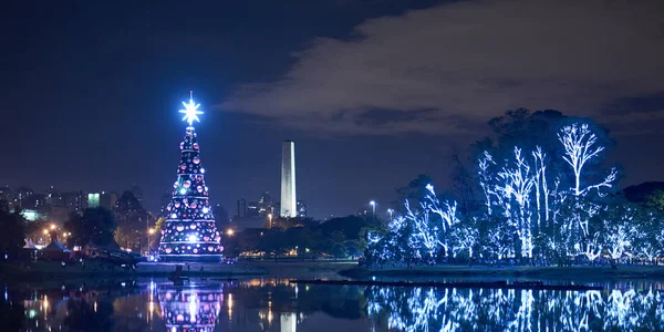 Noel Ağacı Işıklı Ağaçlarda Ibirapuera Park Aralık Ayında Gece Şehirde — Stok fotoğraf