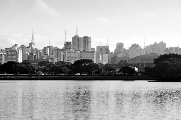 Buildings on the Paulista Avenue seen from inside the Ibirapuera — Stock Photo, Image