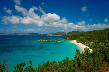 Ada beach ve yeşil tepeler, St John ABD Virgin Adaları ile güzel koyda.