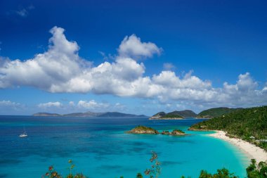 Ada beach ve yeşil tepeler, St John ABD Virgin Adaları ile güzel koyda.