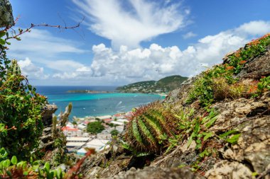 Philipsburg, Sint Maarten-ön planda bir kaktüs ile yüksek bir kayalığın görünümünden