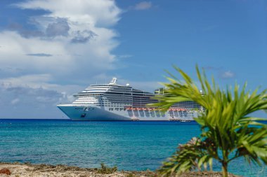 Cruise gemi kristal mavi su ile bir palm ön yüzünde