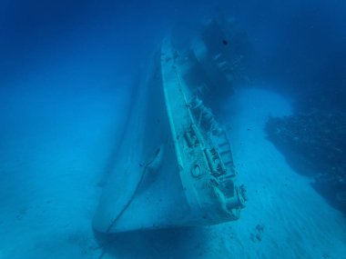 Bir büyük batık terk edilmiş gemi berrak suda 30 metre derinlikte. Grand Cayman