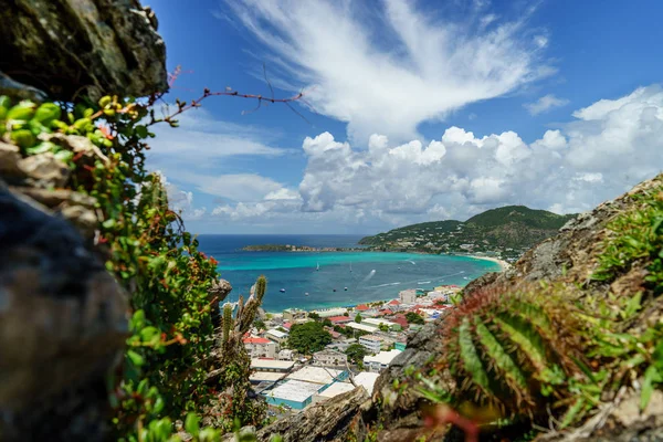 Philipsburg, Sint Maarten-ön planda bir kaktüs ile yüksek bir kayalığın görünümünden