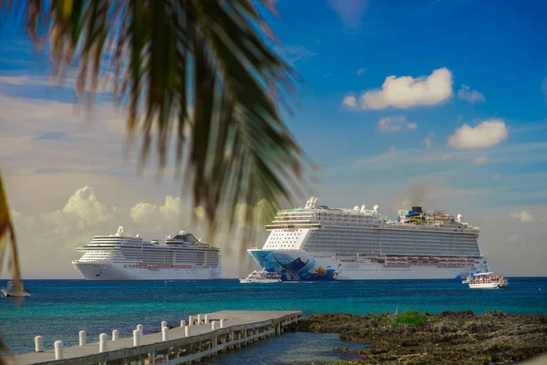 Twee Cruiseschip Kristal Blauwe Water Met Palm Voorgrond — Stockfoto