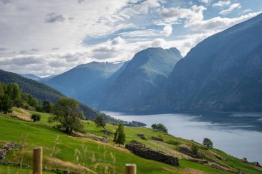Norveç'te güzel fiyort. En baştan görüntülemek