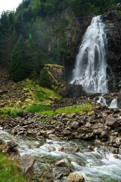 Hegyi nyári táj. fenyőfák közelében, rét és erdő domboldalon, felhők, az éjszakai ég alatt — Stock fotografie