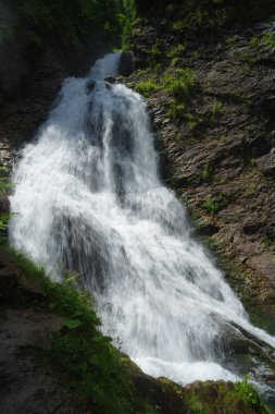 güzel bir şelale içinde Norveç Fiyordları