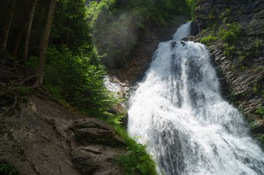 güzel bir şelale içinde Norveç Fiyordları