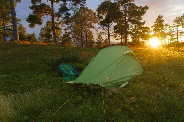 Camping on in the forest during the sunset or sunrise. Bright sunlight. — Stock Photo, Image