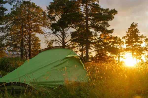 Camping on in the forest during the sunset or sunrise. Bright sunlight.