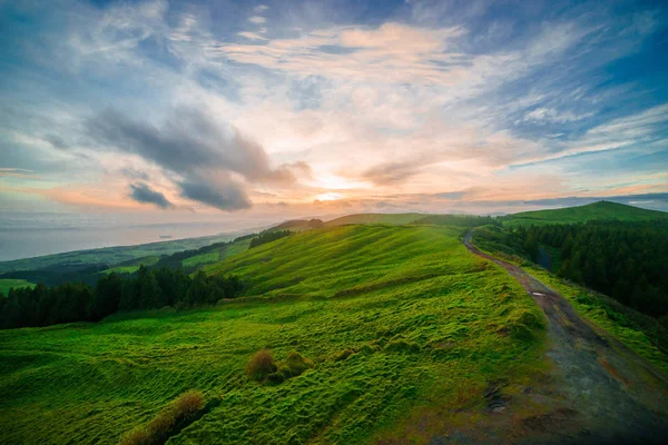 Tepede renkli gündoğumu sırasında orman parçaları ile yeşil alan