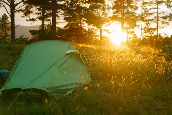 Camping on in the forest during the sunset or sunrise. Bright sunlight. Tents and forest trees. Concept of relaxation, holidays, recreation, meditation and rest.