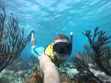 Marina ömrü ile kristal suda yüzücü sualtı geniş açı selfie