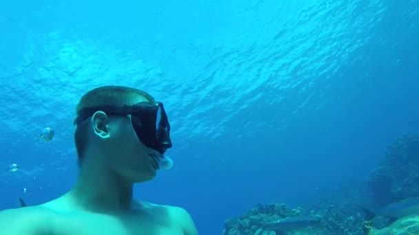 Mladý fotograf z hloubky na povrch na dech obklopený skupinou velkých ryb — Stock video