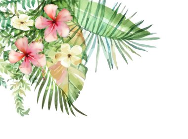 suluboya tropik bitkiler el çekilmiş.